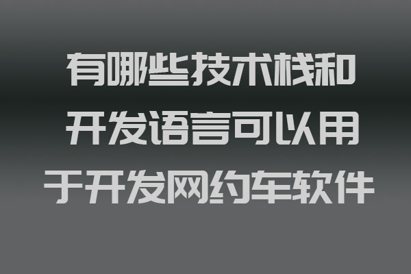 有哪些技术栈和开发语言可以用于开发网约车软件_网约车软件开发_网约车软件移动开发_网约车软件后端开发_网约车软件前端开发